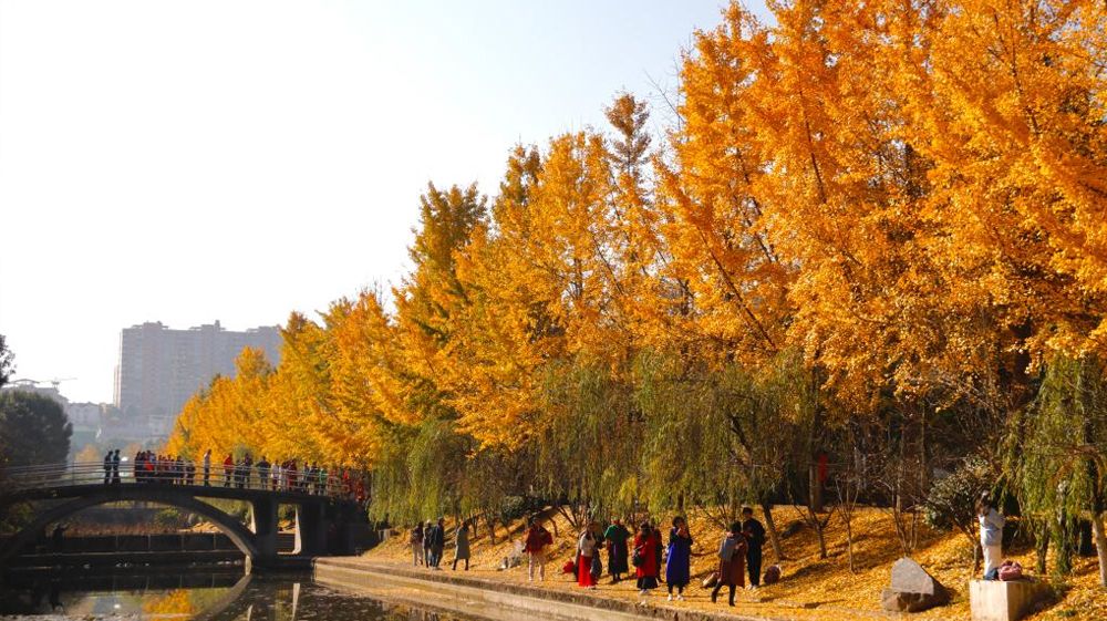 美加墨世界杯官网风景