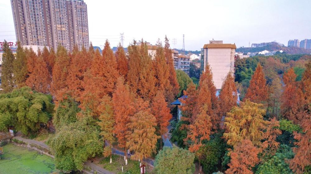 美加墨世界杯官网风景