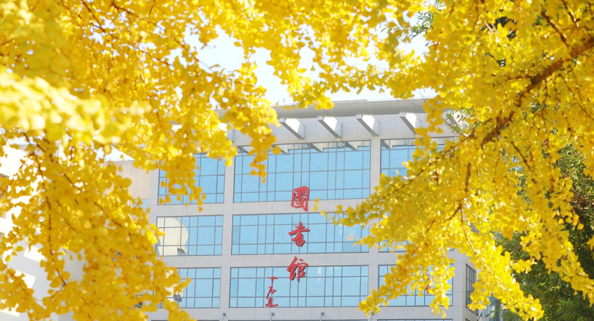 美加墨世界杯官网风景